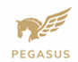 Pegasus